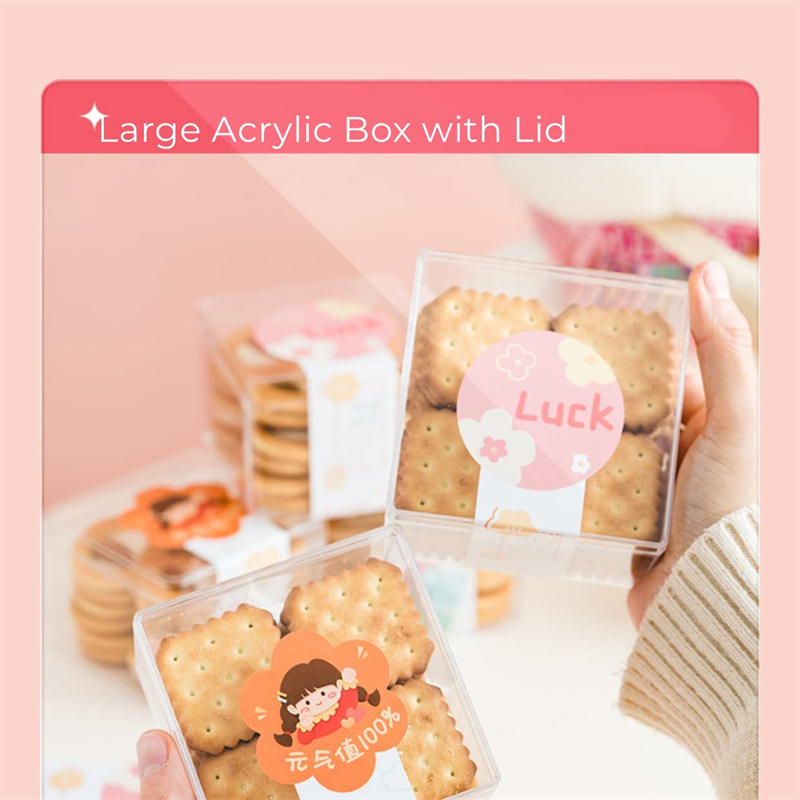 1-20pcs Transparent Acrylic Bo - Xmas Food Storage Containers ulasan dan harga