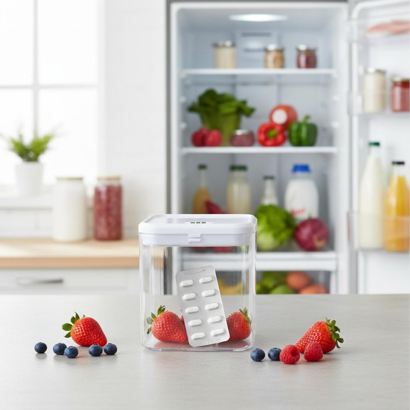 Clear Lockable Box Versatile L - Food Storage Is ulasan dan harga