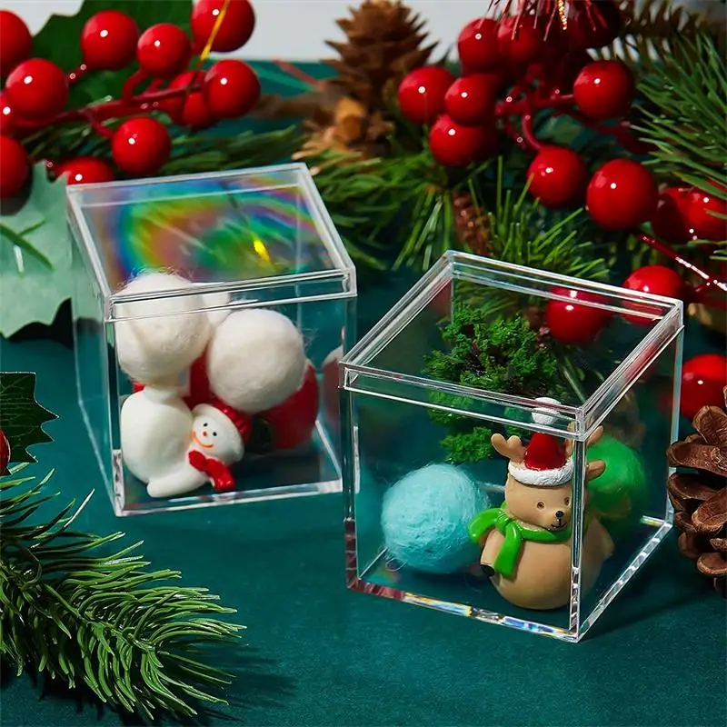 12 PCS Transparent Acrylic Box - Xmas Food Storage Containers ulasan dan harga